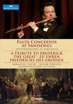 Flute Concertos at Sanssouci. Flötenkonzerte in Sanssouci, 1 DVD