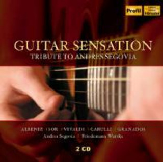 Guitar Sensation. Gitarrenwerke, 2 Audio-CDs