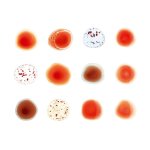 Scratch My Back / And I'll Scratch Yours, 2 Audio-CDs. And I'll Scratch Yours (Deluxe Edt.), 2 Audio-CDs