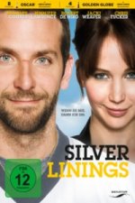 Silver Linings, 1 DVD
