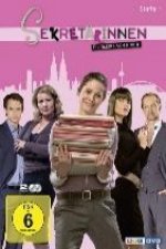 Sekretärinnen - Überleben von 9 bis 5, 2 DVDs. Staffel.1