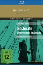 Nosferatu - Eine Symphonie des Grauens, 1 Blu-ray