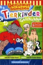 Benjamin Blümchen und der kleine Hund / Benjamin Blümchen und die Eisbär-Babys, 1 DVD