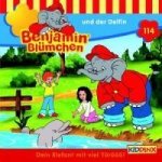 Benjamin Blümchen und der Delfin, 1 Audio-CD