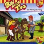 Bibi & Tina - Der Pferdegeburtstag, 1 Audio-CD