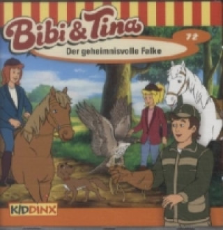 Bibi & Tina - Der geheimnisvolle Falke, 1 Audio-CD