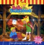 Bibi Blocksberg reißt aus, 1 Audio-CD