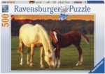 Schöne Pferde (Puzzle)