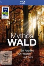 Mythos Wald, 1 Blu-ray