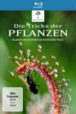 Die Tricks der Pflanzen, 1 Blu-ray