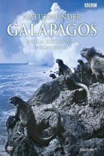 Naturwunder Galapagos, DVD