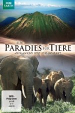 Ein Paradie für Tiere - Afrikas wildes Herz, 1 DVD