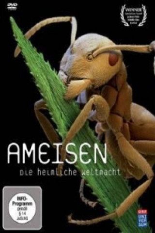 Ameisen - Die heimliche Weltmacht, 1 DVD