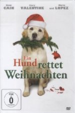 Ein Hund rettet Weihnachten, 1 DVD