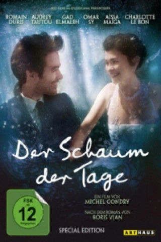 Der Schaum der Tage, 2 DVDs (Special Edition)