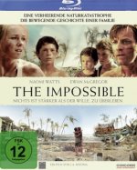 The Impossible, 1 Blu-ray