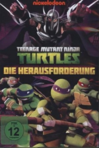 Teenage Mutant Ninja Turtles - The Gauntlet, 1 DVD