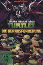 Teenage Mutant Ninja Turtles - The Gauntlet, 1 DVD