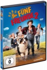 Fünf Freunde 2. Tl.2, 1 DVD