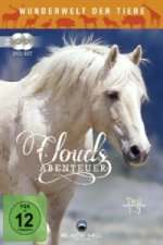 Clouds Abenteuer. Tl.1-3, 2 DVD