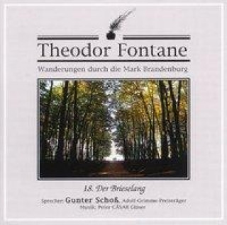 Der Brieselang, 1 Audio-CD