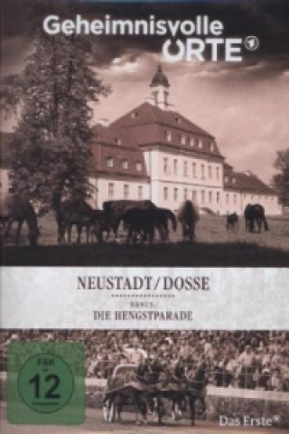 Geheimnisvolle Orte - Neustadt / Dosse, 1 DVD