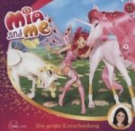 Mia and me - Die große Entscheidung. Folge.13, 1 Audio-CD