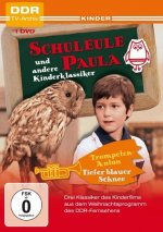 Schuleule Paula und andere Weihnachtsklassiker, 1 DVD