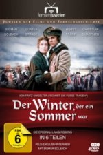 Der Winter, der ein Sommer war - Die Originalfassung in 6 Teilen, 3 DVDs