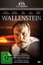 Wallenstein - Der TV-Dreiteiler, 1 DVD
