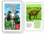 Bauernhof Tiere, Quartett