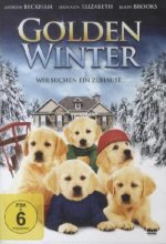 Golden Winter, 1 DVD