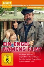 Ein Engel namens Flint, 2 DVDs