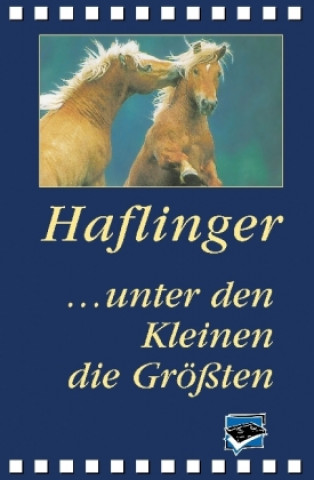 Haflinger...unter den Kleinen die Größten, 1 DVD