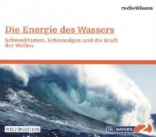 Die Energie des Wassers - Schneeblumen, Schneealgen und die Kraft der Wellen, 1 Audio-CD