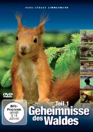 Geheimnisse des Waldes. Tl.1, 1 DVD