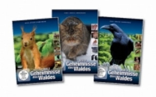 Geheimnisse des Waldes 1-3, 3 DVDs