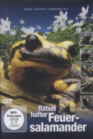 Rätselhafter Feuersalamander, 1 DVD