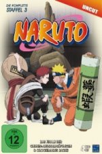 Naruto - Das Finale der Chunin-Auswahlprüfungen & Orochimarus Rache. Staffel.3, 4 DVDs