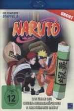 Naruto - Das Finale der Chunin-Auswahlprüfungen & Orochimarus Rache, 1 Blu-ray