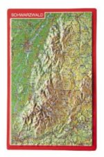 Schwarzwald, Reliefpostkarte. Black Forest. Foret-Noire. Black Forest. Foret-Noire