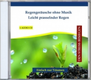 Regengeräusche ohne Musik - Leicht prasselnder Regen, 1 Audio-CD