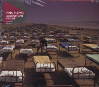 A Momentary Lapse Of Reason, Audio-CD