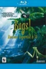 Bugs! - Abentuer Regenwald 3D, 1 Blu-ray