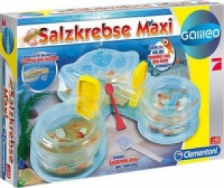 Original Salzkrebse Maxi (Experimentierkasten)