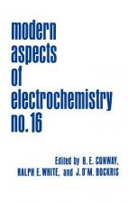 Modern Aspects of Electrochemistry 16