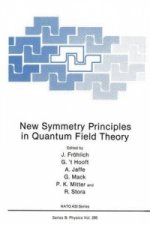 New Symmetry Principles in Quantum Field Theory