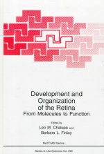 Development and Organization of the Retina