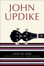 Licks of Love. Wie war's wirklich, englische Ausgabe