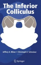 Inferior Colliculus